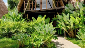 Een rietenbungalow met balkon, omringd door weelderige tropische planten.