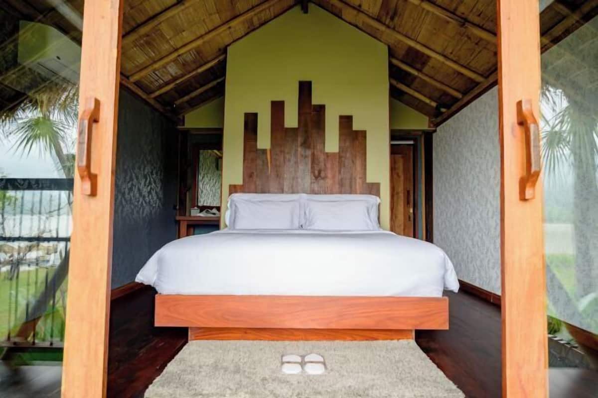 1 bedroom, minibar, individually decorated, individually furnished