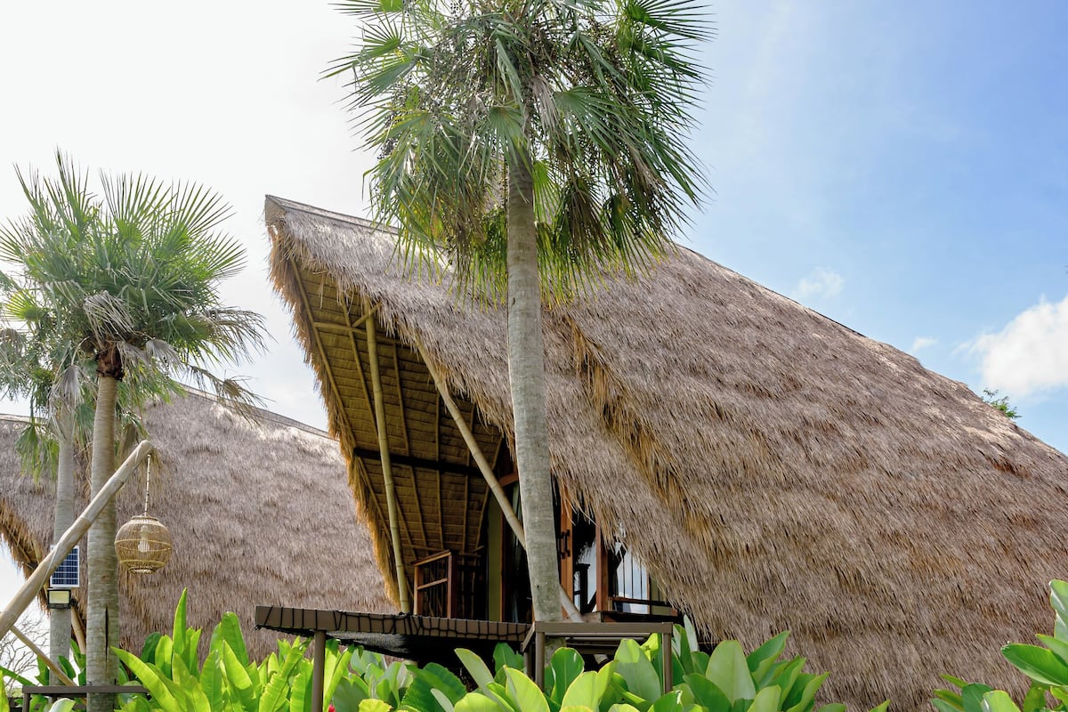 A thatched-roof structure with a concrete pathway leading to it, surrounded by lush greenery.