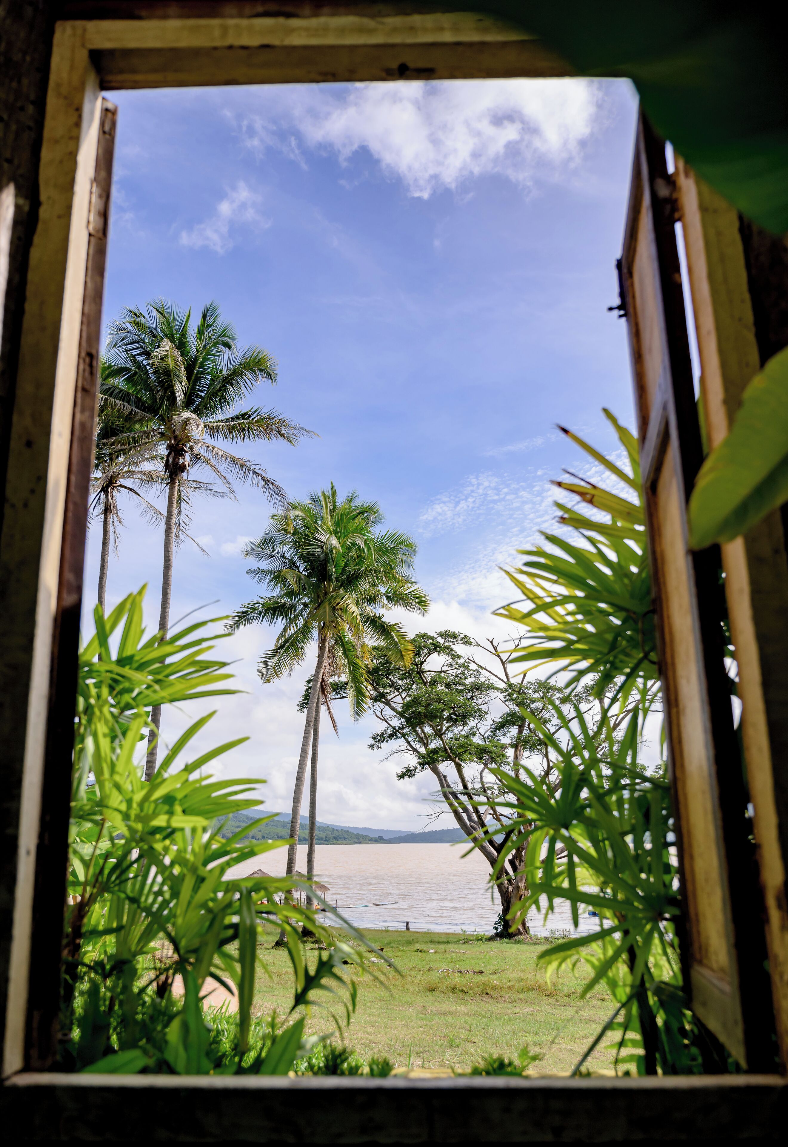 A view through a window with palm trees and a clear sky.