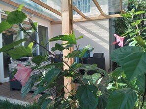 Detalle del exterior