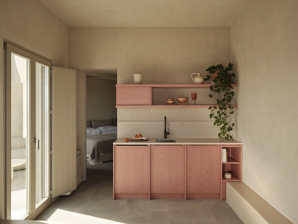 Una cocina compacta con armarios de madera, un lavabo y una planta.