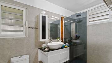 Shower, hair dryer, towels, shampoo