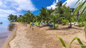A beach with rows of palm trees and beach chairs, a clear sky, and a calm sea. - Fare Oaoa · the quiet end of the beach, sleeps 2 (Moorea)