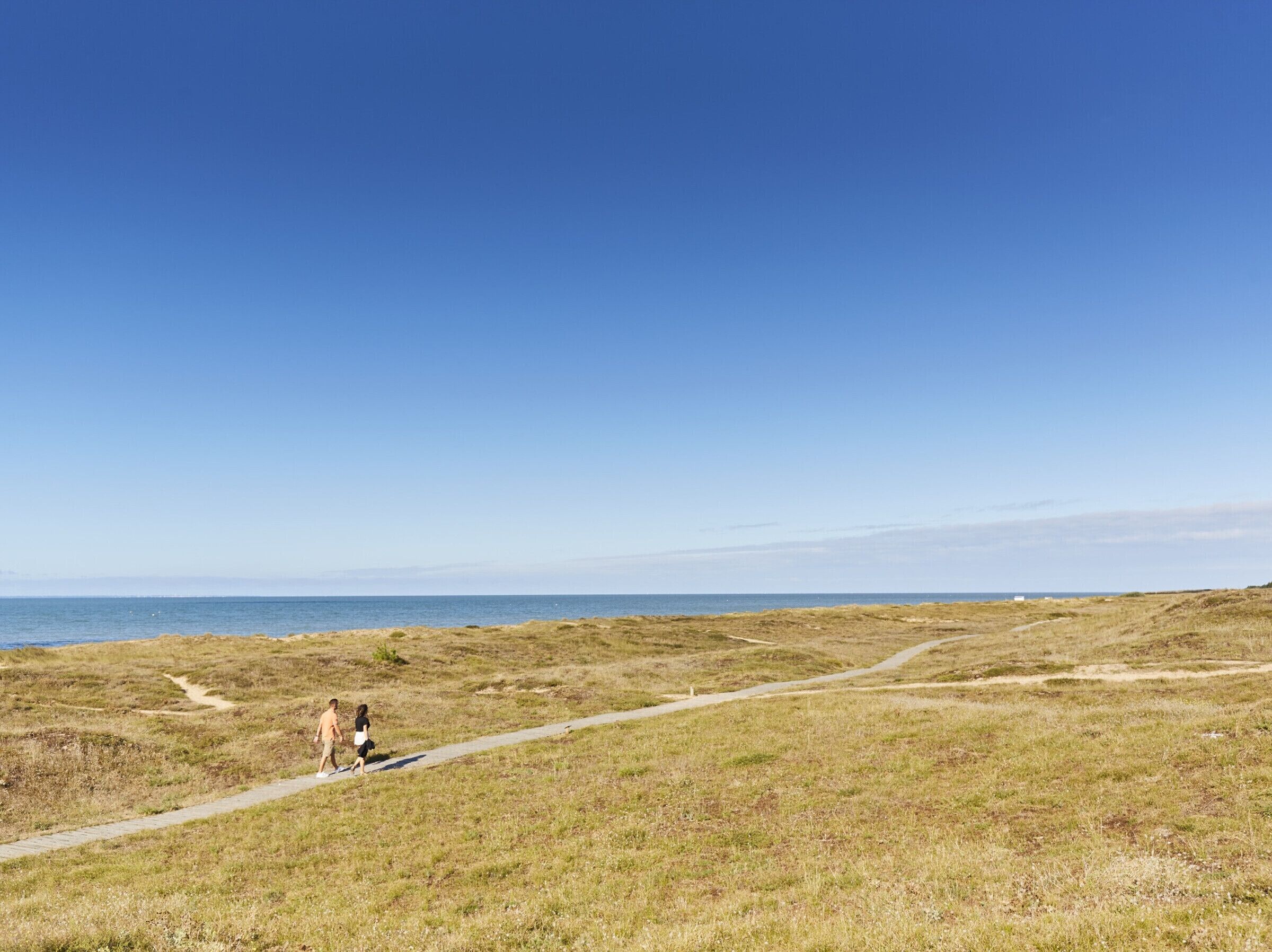 Ein klarer Himmel und ein grasbewachsenes Feld mit einem Weg zum Wasser.