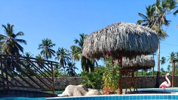 A swimming pool with a thatched-roof structure, palm trees, and a flamingo statue. - Pousada Varanda Amar (Amontada)