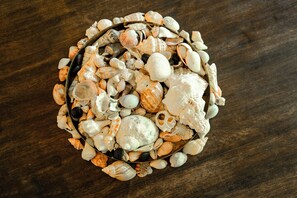 A bowl filled with various seashells on a wooden surface.