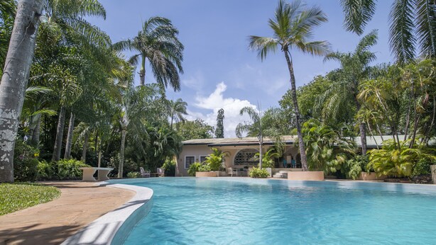 A large, clear swimming pool surrounded by lush palm trees and a building with arched windows.