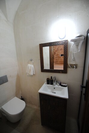 Hair dryer, towels, shampoo, toilet paper