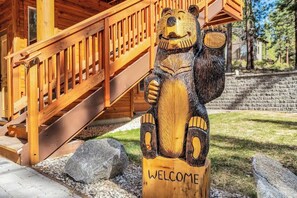 Unclassified image, 3 of 45, button