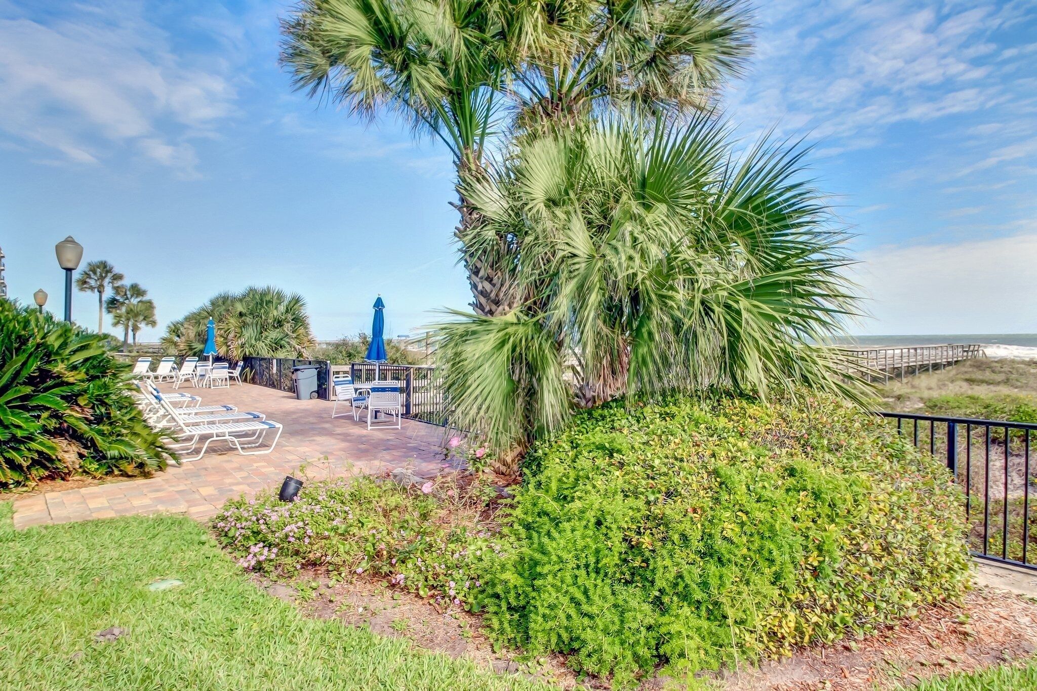 A patio area with lounge chairs and a palm tree, surrounded by greenery and a view of the beach.
