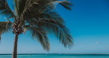 Blue Chill Ocean View Penthouse 3Bdrms.