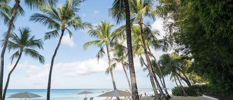 Chaises longues, serviettes de plage