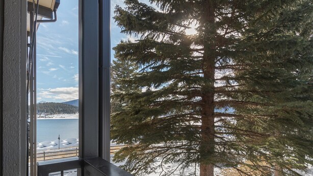 A view from a window overlooking a snowy landscape with a tall evergreen tree. - Walk to the Dillon Amphitheater, Marina and more! (Dillon)