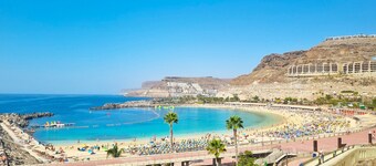 Puerto Feliz 1 : Magnificent renovated penthouse with sea views