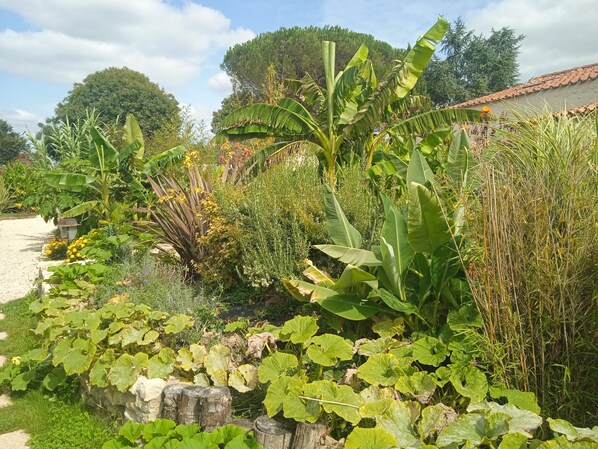 Terrein van de accommodatie