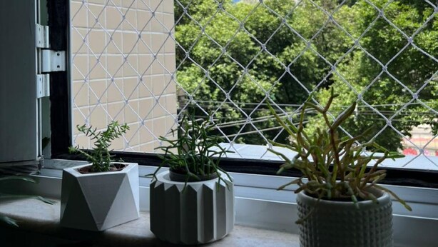 Une fenêtre donnant sur des immeubles et des arbres imposants, une clôture en treillis métallique et des plantes en pot sur le rebord de la fenêtre.