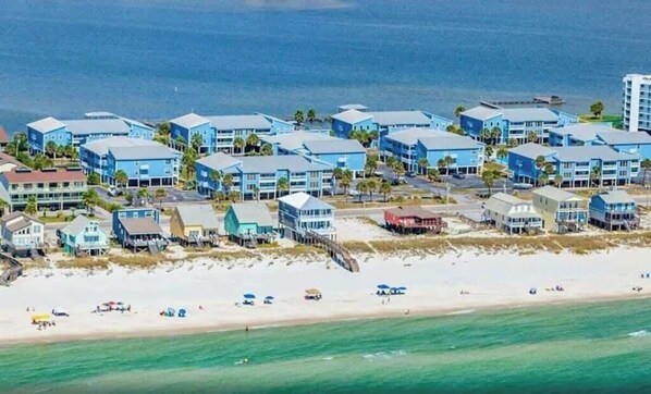 Beach - Sea Oats J104 Palm Tree Dreams Gulf Shore Breeze (Gulf Shores)