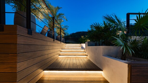 Una escalera de madera con escalones iluminados, rodeada de macetas con plantas tropicales.