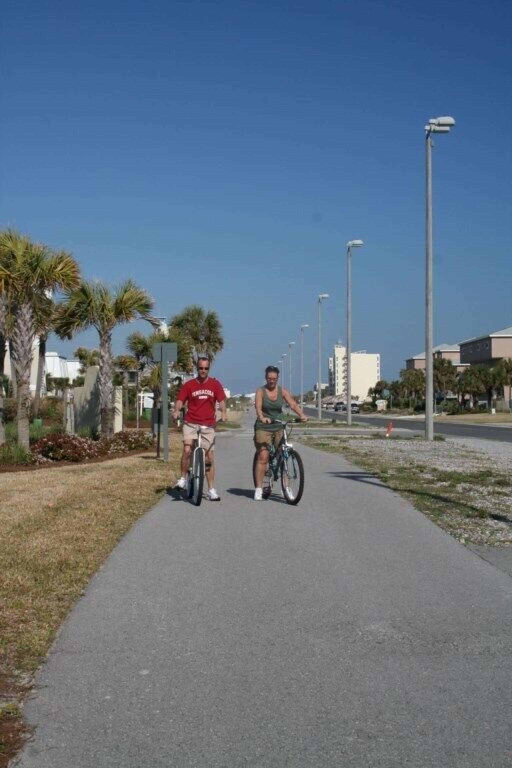 A paved pathway with palm trees and street lamps.