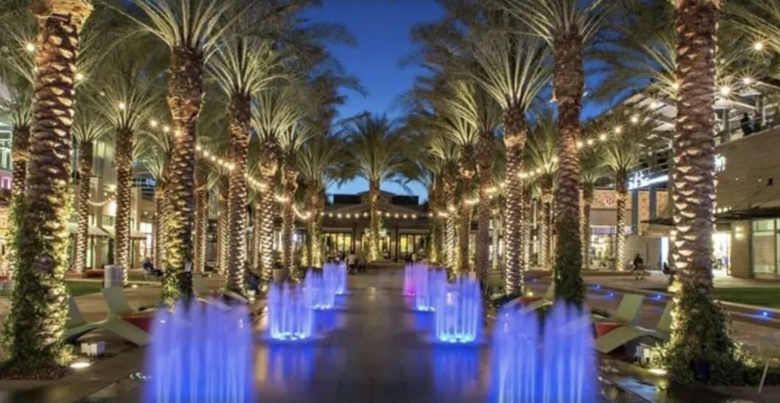A nighttime scene with palm trees and a fountain.