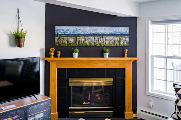 TV, fireplace, books