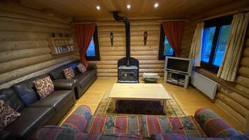 TV connectée, cheminée