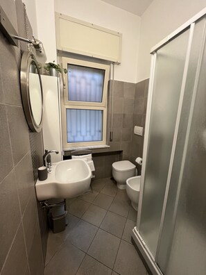 Regadera, amenidades de baño gratuitas, secadora de cabello, bidet 