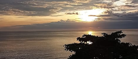 Vista desde la propiedad