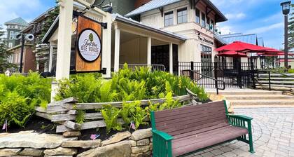 ML390 King Bed Sleeps 8 Quiet Mountain View WiFi