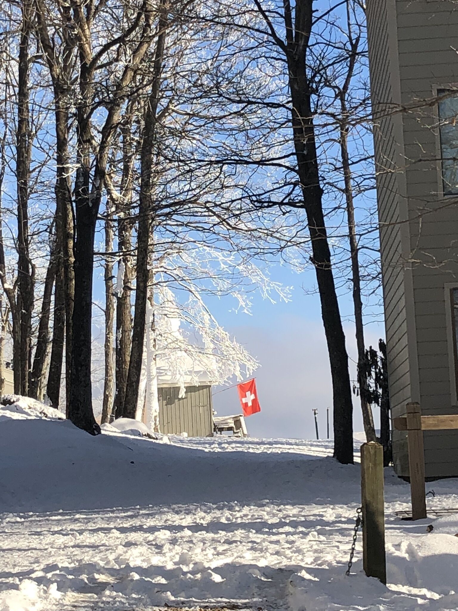 A snow-covered landscape with bare trees and a building with a Swiss flag.