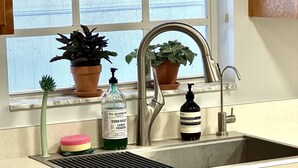 A kitchen with a window, two potted plants, a stainless steel sink, and a dish soap bottle.