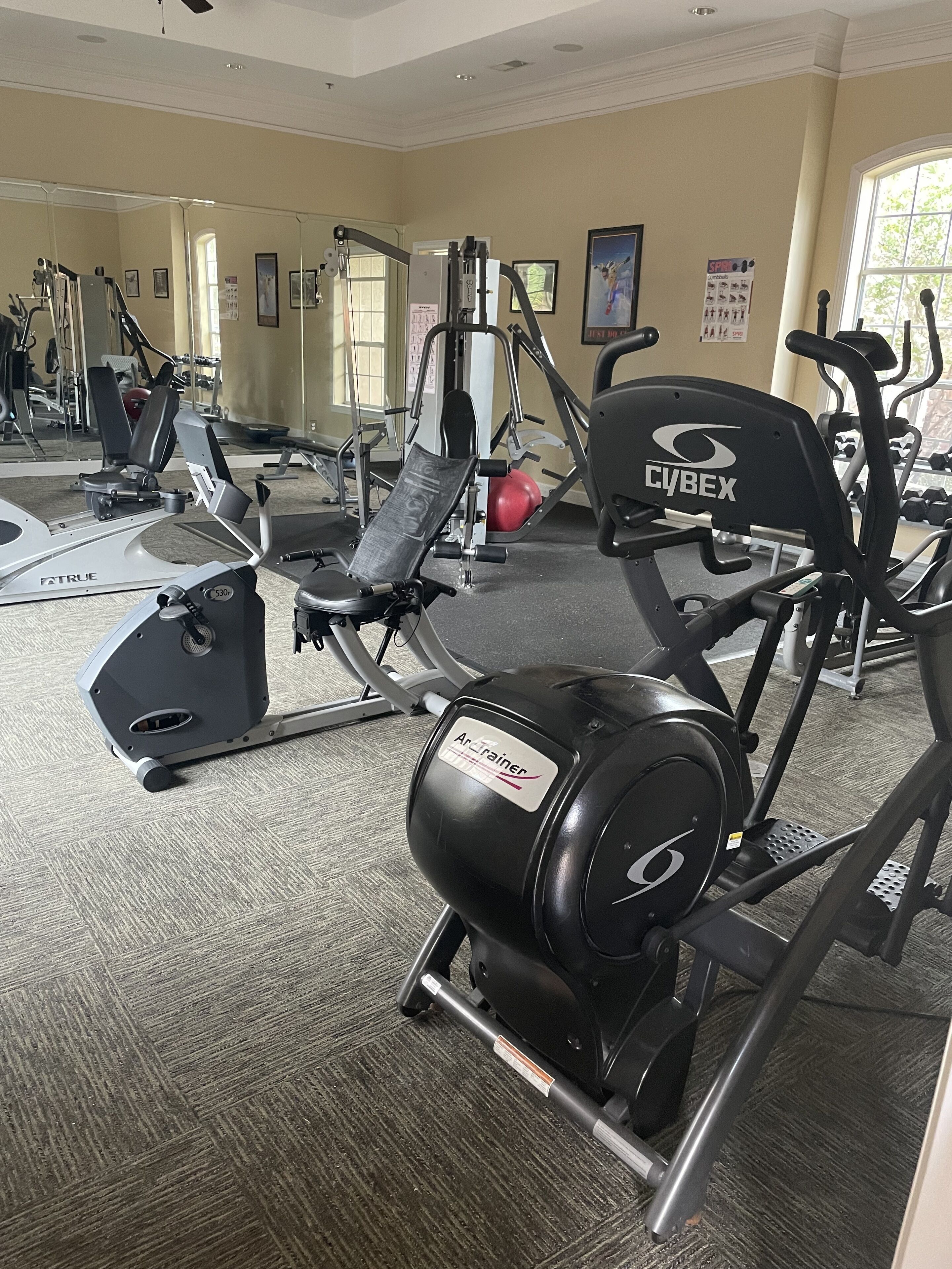 Ein Fitnessraum mit unterschiedlichen Trainingsgeräten, darunter eine Cybex-Maschine und ein Arctainer.