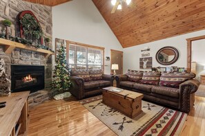 Smart TV, fireplace, DVD player, books