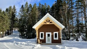 A cabin with a wooden exterior, a pitched roof, and a door with a window on each side.