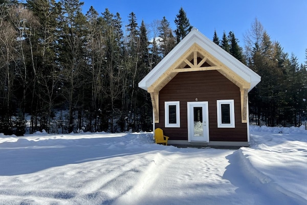 mini chalet 6 hivers_2023-12-14