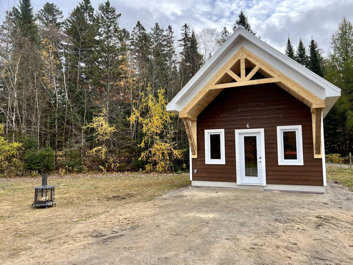 Une petite cabane en bois, dotée d’un toit à pignon, d’une porte et de deux fenêtres, entourée d’une forêt.