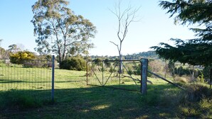 A rural landscape with a metal gate, trees, and a grassy field. - Twodogfolly at Dangarsleigh, Cottage at Dangarsleigh (Armidale)