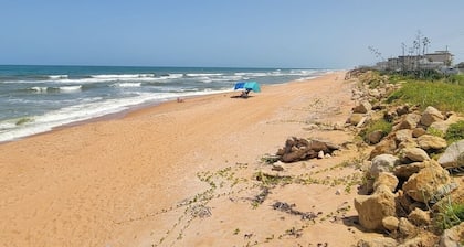 The Blue Dolphin Beach Cottage - Bring your bathing suit and your pup!
