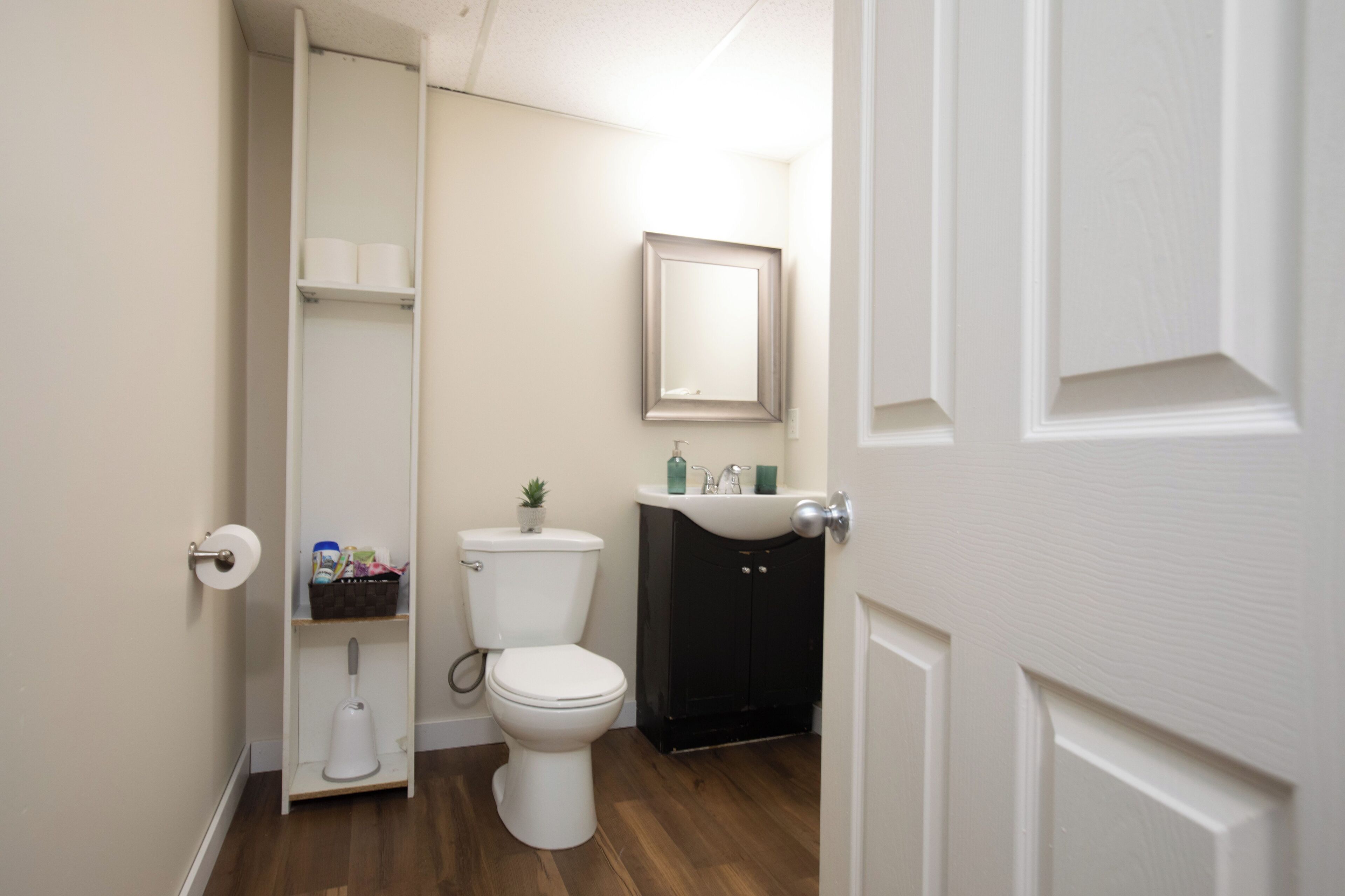 A bathroom with a toilet, sink, and shelves.