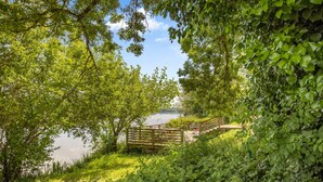 A wooden bridge over a calm lake, surrounded by lush greenery and trees.
