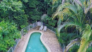 Piscina rectangular con borde de ladrillo, rodeada de abundante vegetación y palmeras.