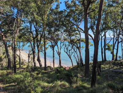 Whale Tail Beach House - 5 min walk to Dog Beaches & Pambula River!