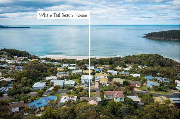 An aerial view of Whale Tail Beach with houses surrounded by greenery and a beach.