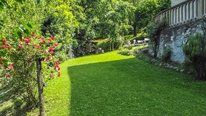 Un giardino curato con un prato ben tagliato, diverse siepi e un muro in pietra.