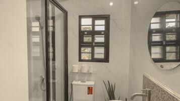 Shower, bidet, towels, soap