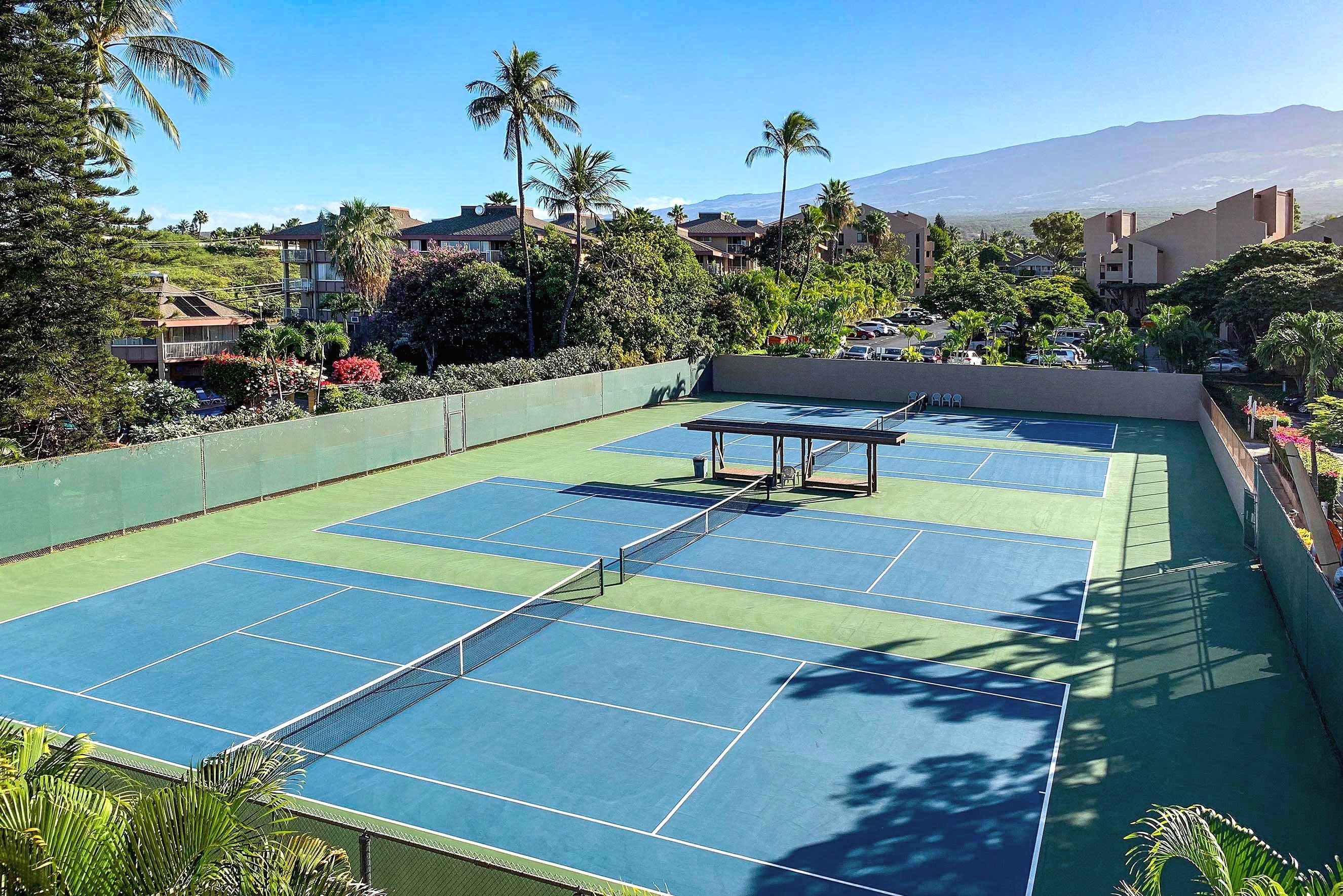 A tennis court with multiple courts, surrounded by greenery and residential buildings.