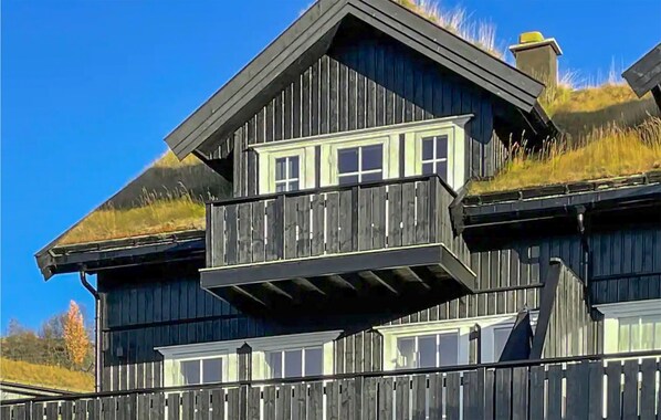 Exterior - Gorgeous home in Rauland with WiFi (Rauland)