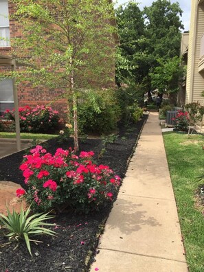 A residential street with a sidewalk, brick buildings, and well-maintained gardens with flowering plants.