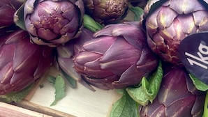 A display of artichokes with a price tag. - Beautiful place with a beautiful barn and a beautiful garden (Verrières)